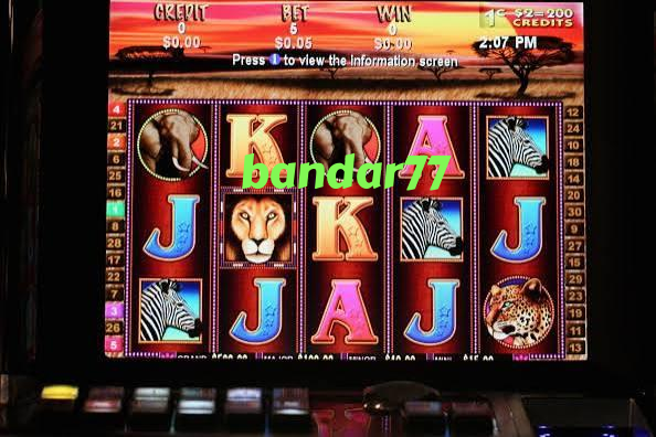 bandar77 slide 1